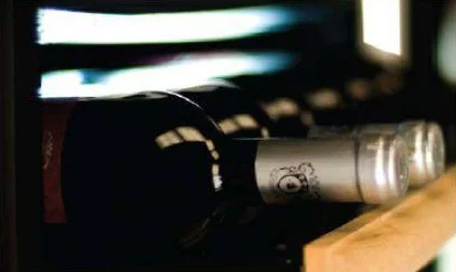 Винный шкаф IP CEX 2501 CU купить в Москве