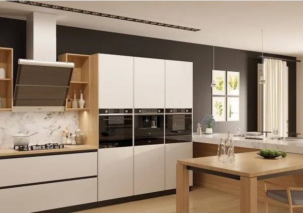 Духовой шкаф Smeg SF6101VN купить в Москве
