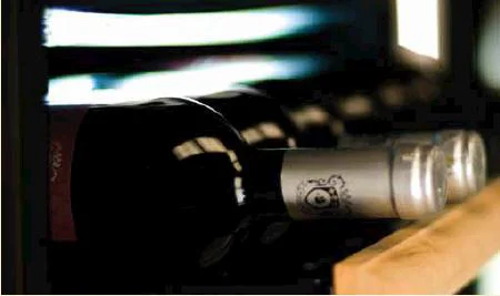 Винный шкаф IP C 151 CF купить в Москве