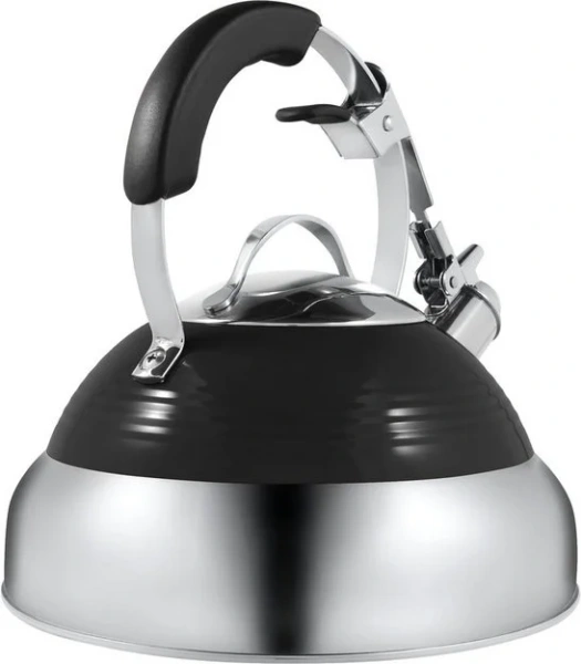 Чайник Maunfeld MRK-119BK купить в Москве с доставкой
