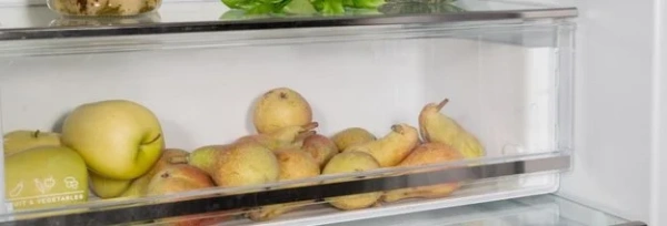 Встраиваемый холодильник Bertazzoni REF704BBNPTC купить в Москве
