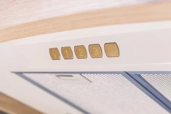 Вытяжка Kuppersberg DOMINIKA 90 CO купить в Москве
