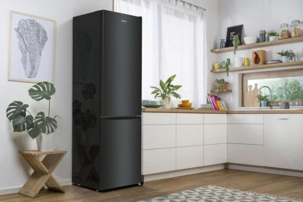 Отдельностоящий холодильник Gorenje NRK6202EBXL4 купить в Москве
