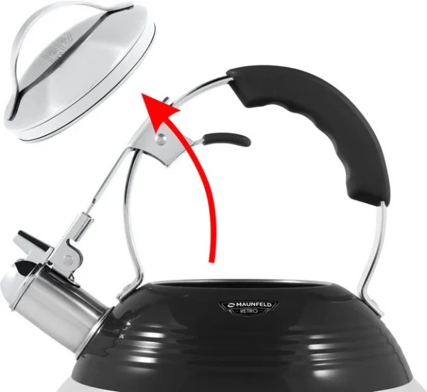 Чайник Maunfeld MRK-119BK купить в Москве с доставкой
