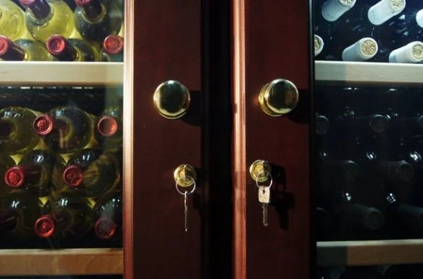 Винный шкаф IP CEX 2151 NU купить в Москве