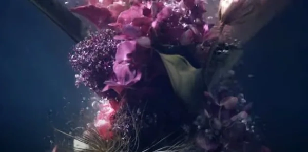 Духовой шкаф Miele H 7244 BP EDST/CLST купить в Москве
