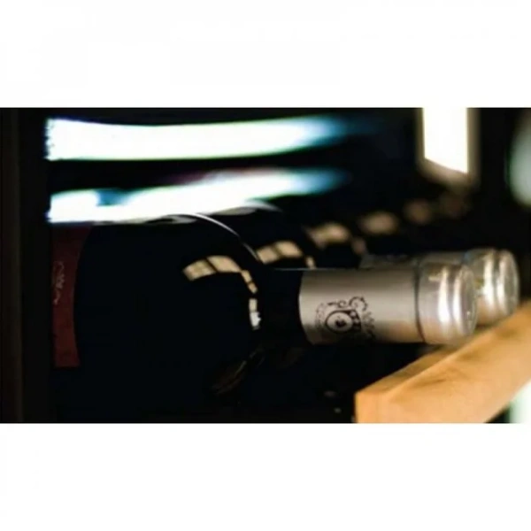 Винный шкаф IP CK 601 G купить в Москве