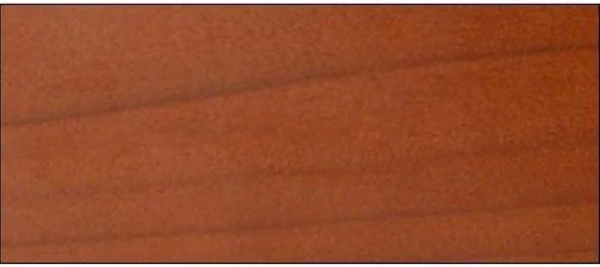 Вытяжка Falmec Iris Gardenia ANG (600) S вишня купить в Москве
