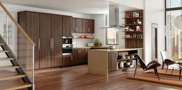 Вытяжка Wolf ICBVI42S купить в Москве
