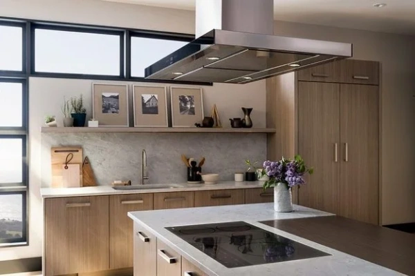 Вытяжка Wolf ICBVI42B купить в Москве
