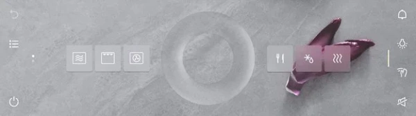 Встраиваемая микроволновая печь V-ZUG CombiMiwell V4000 45 CM4T-24025 (платиновое стекло) купить в Москве
