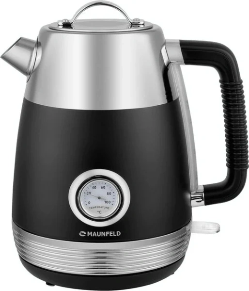 Чайник Maunfeld MFK-621G купить в Москве с доставкой
