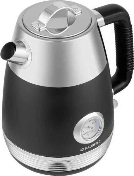 Чайник Maunfeld MFK-621G купить в Москве с доставкой
